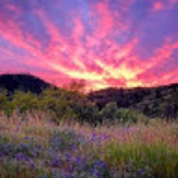 Meet your Posher, M - Picture 1 of 1